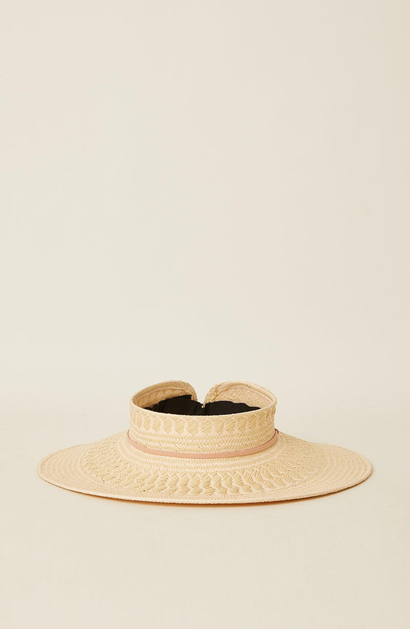 ANI VISOR